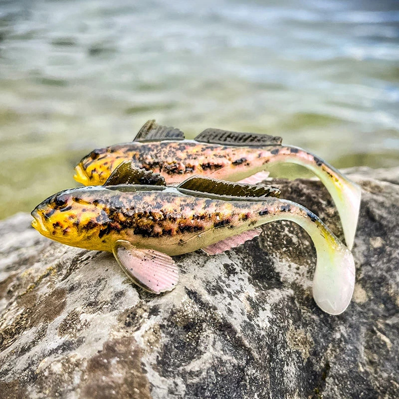 Westin Gunnar The Goby RTF